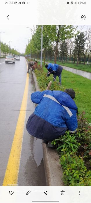 Gazon rulon landshaft