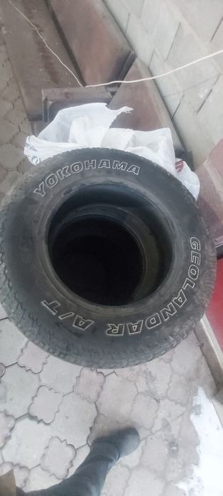 265/65/17 ёкохама