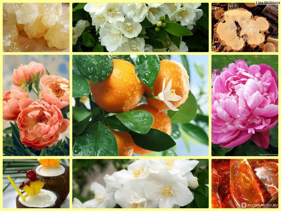 Flora by Gucci Glorious Mandarin EDT начатый 90/100ml, Франция