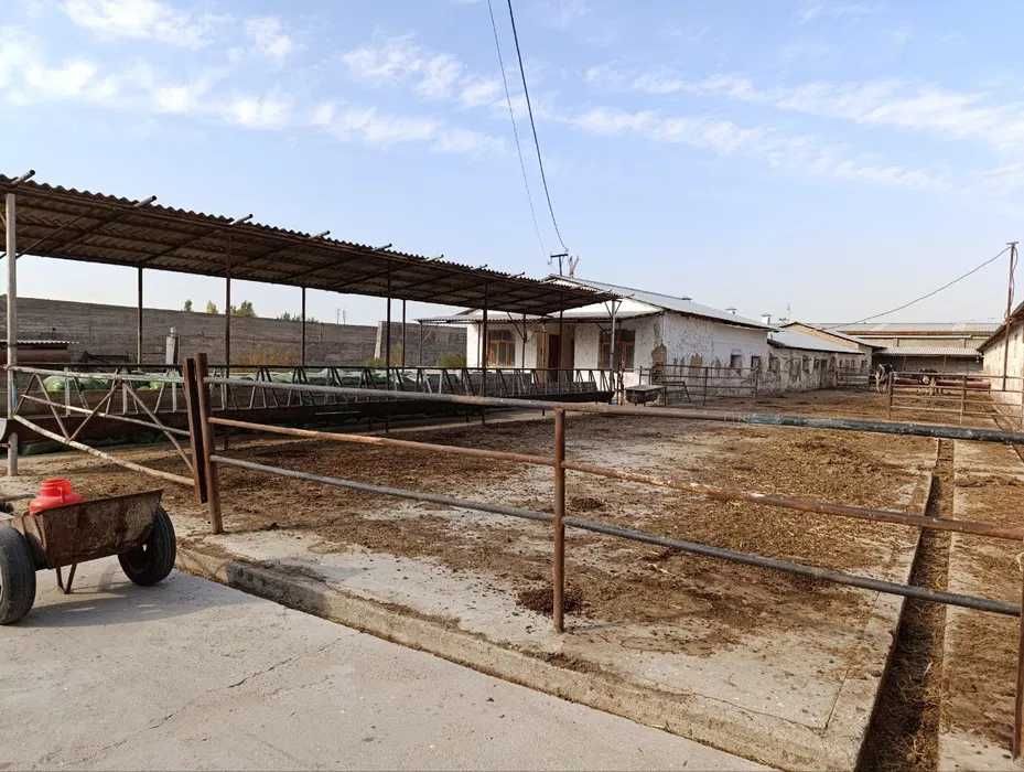 Новый Узбекистан нежилой