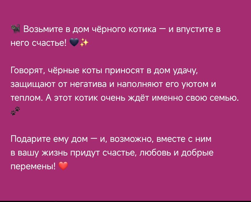Котенок, мальчик!  Бесплатно