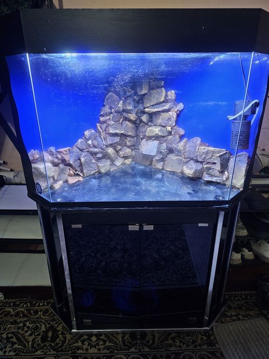 Srochniy akvarum sotiladi