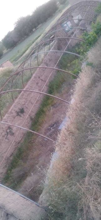 2 sotix issiqxona sotiladi