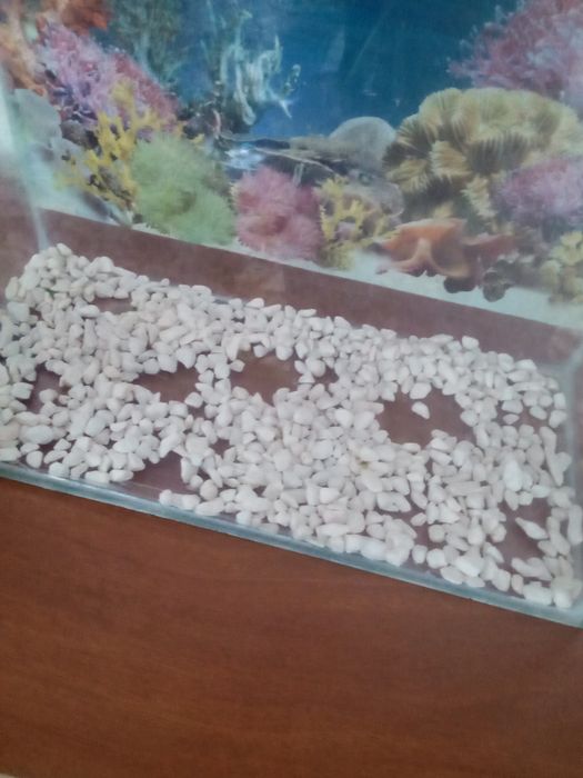 Аквариум сатылады