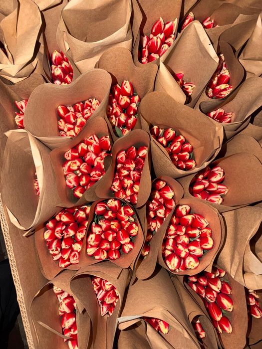 Тюльпаны в розницу