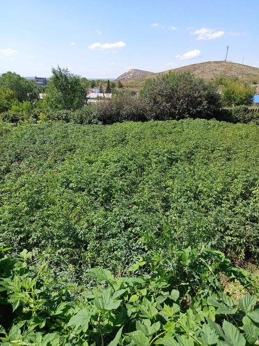 Продаётся дом 6-и комнатный