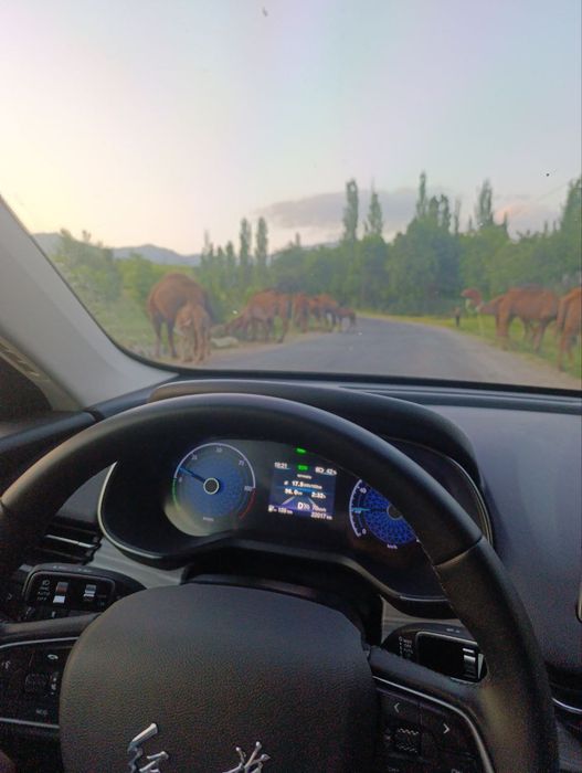 Такси в горы Услуга перевозки Поездки в горы VIP Taxi Taksi xizmati