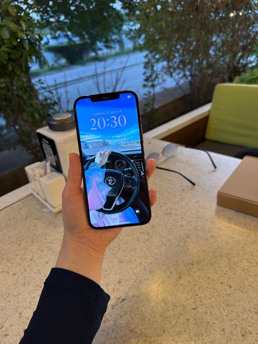 iPhone 12 Pro Max