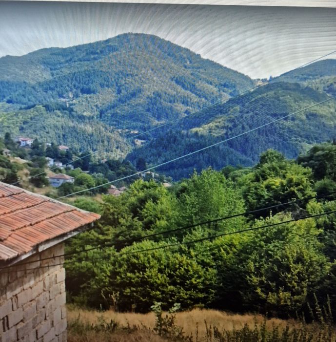 Продава се Парцел в с. Баните, Област Смолян - 720 кв.м за 15 €/кв.м - Снимка #2