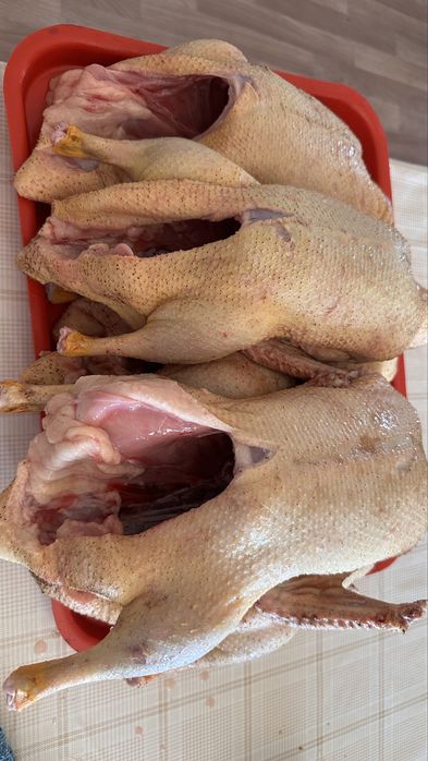 Продам  утку (тушка)