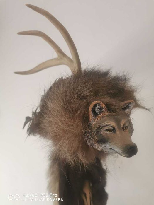 Cap de lup decor tenta indiana