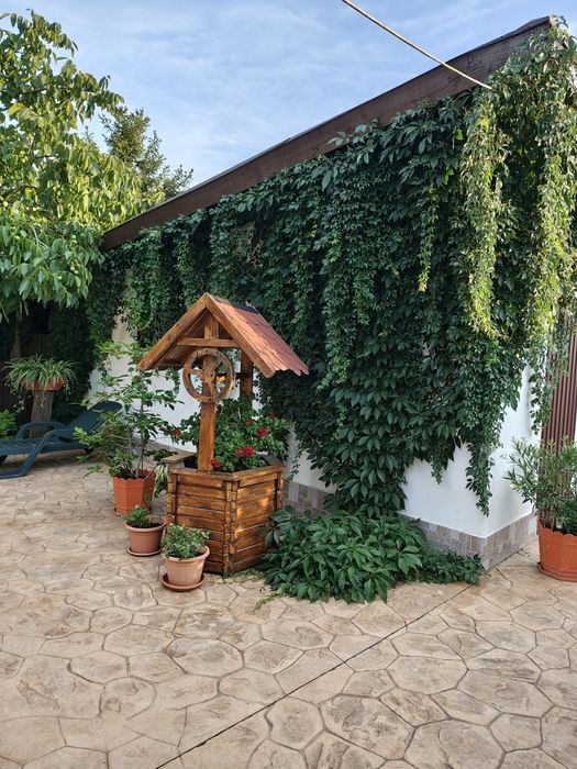 Vând casă în Dumbrăvița