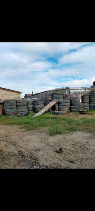 Баллоны для каналицазый