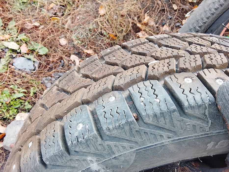 Продам 4 зимних болона