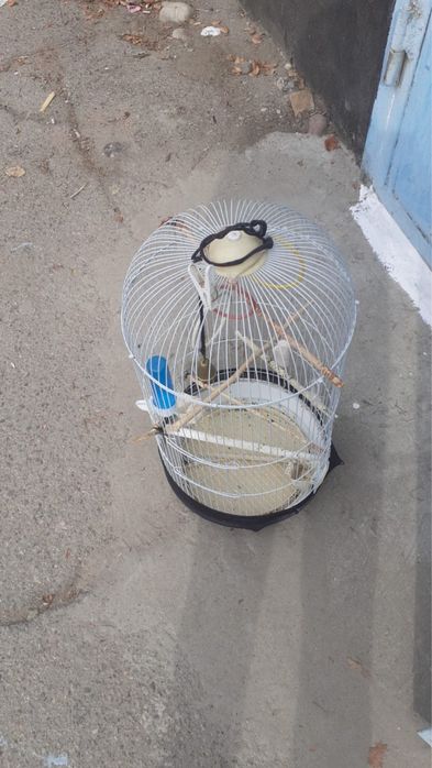 Клетки бу для домашних питомцев и попугаев