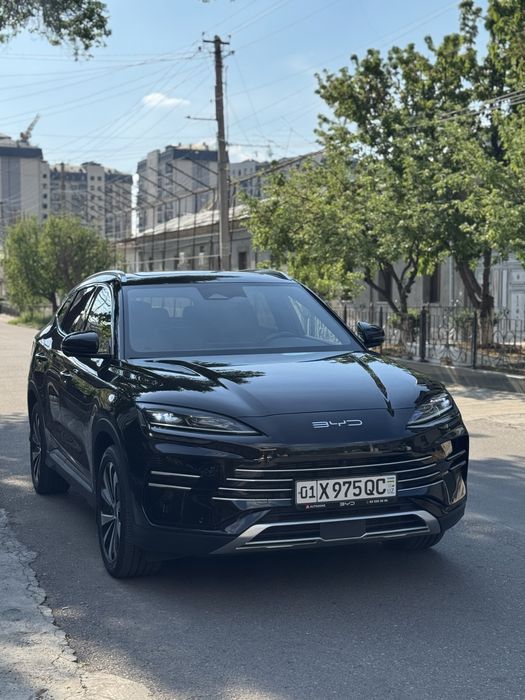 Byd champion dm-i hybrid 2024 kraska toza
