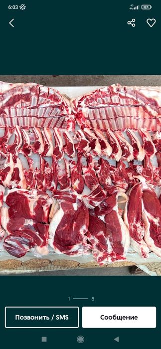 Qassop xzmati toshken shaxar