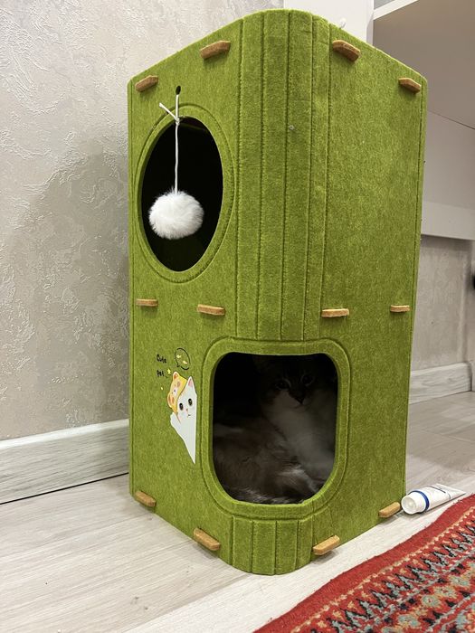 Миска,шлейка,домик для кошек