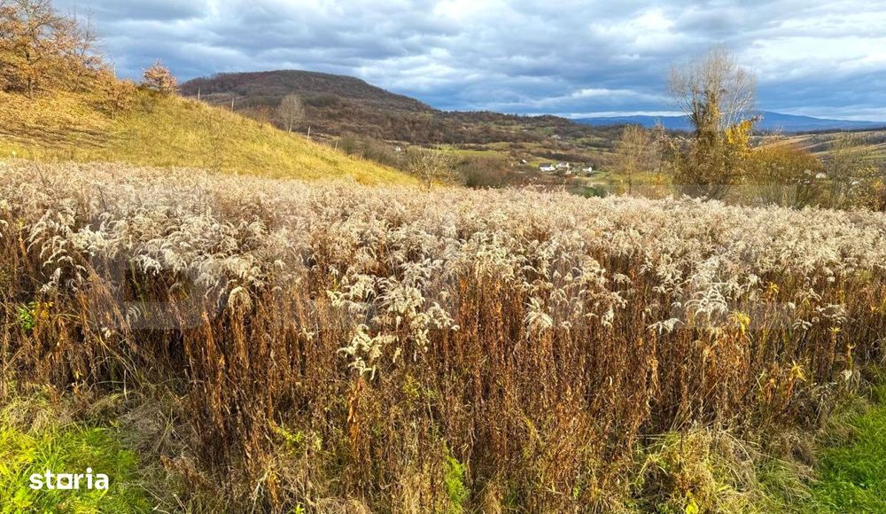 Teren extravilan de vanzare, 2400 mp, zona Valea Ghinzii