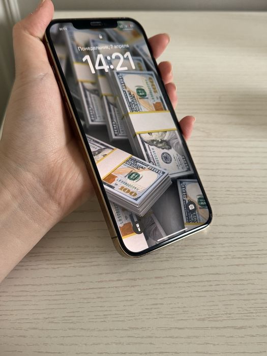 Apple iPhone 12 pro max