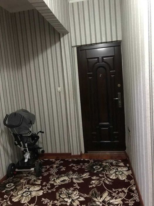 S 987 Qora qamish 2/4 da 3/4/4 Olimpiya