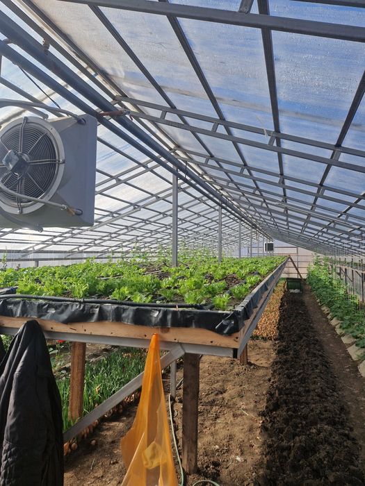 Продам дом с зимней теплицой