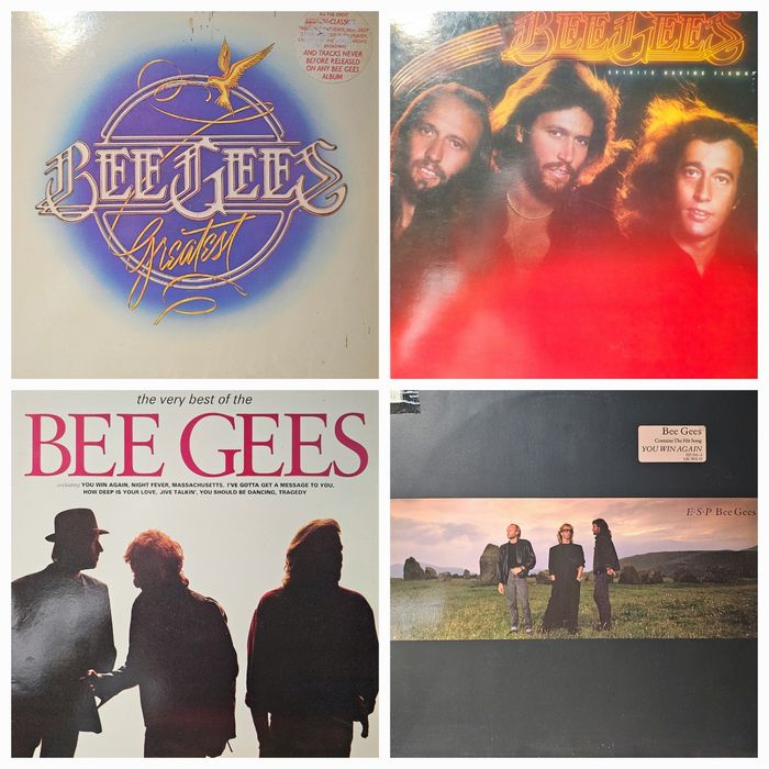 Discuri vinil (vinyl)