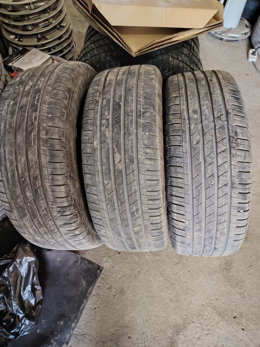 Tracker primier diskasi balonlari bn sotiladi