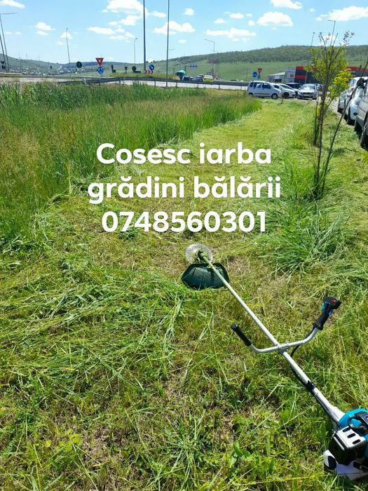 Săpat cu motocultorul amenajez grădini semăn gazon sosesc cu motocosit