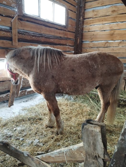 Атбасарский район