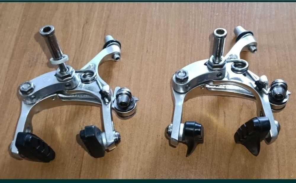 Frâne cursiera Gepida