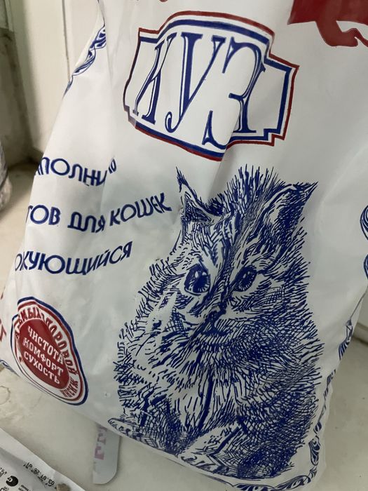 scottish fold sotiladi