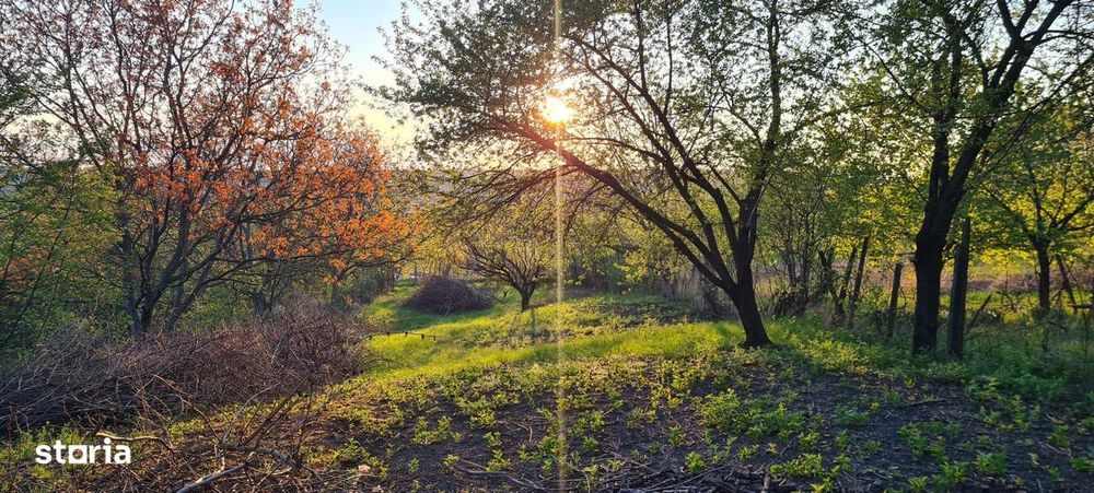 Teren pentru constructii case de vanzare Iasi Copou
