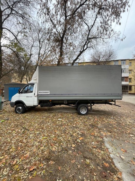 Gazel srochna sotilad holat ideal