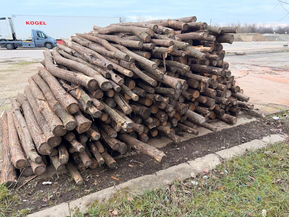 Stâlpi gard  împrejmuire  din salcâm