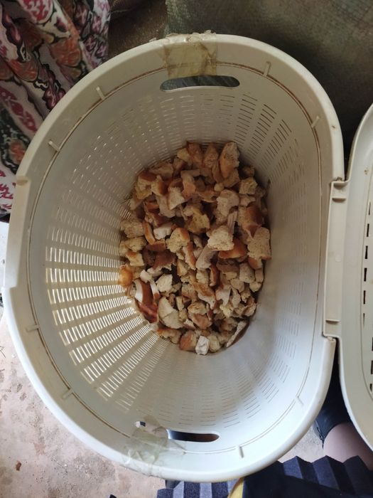 Қаткан нан малга беруге