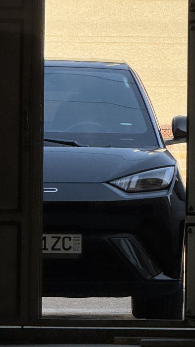 Byd seagull 2023