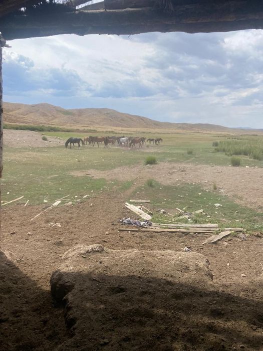 Хозяйство сатылады