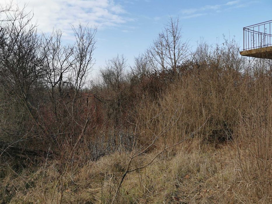 Продава се Земеделски имот в Лом -  кв.м за 2805 €/дка - Снимка #4