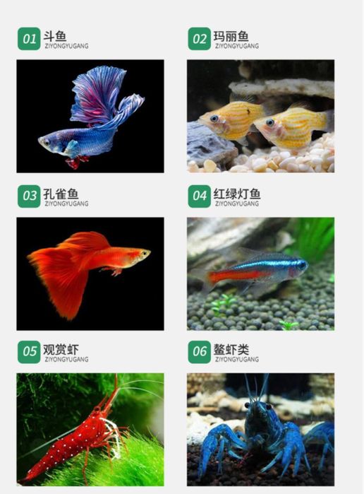 Сотилади акрил инкубатор