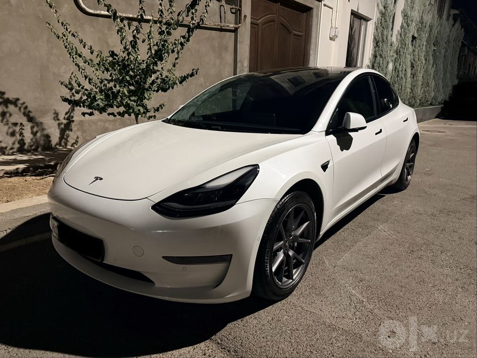 Tesla Model 3 Standart Range Plus