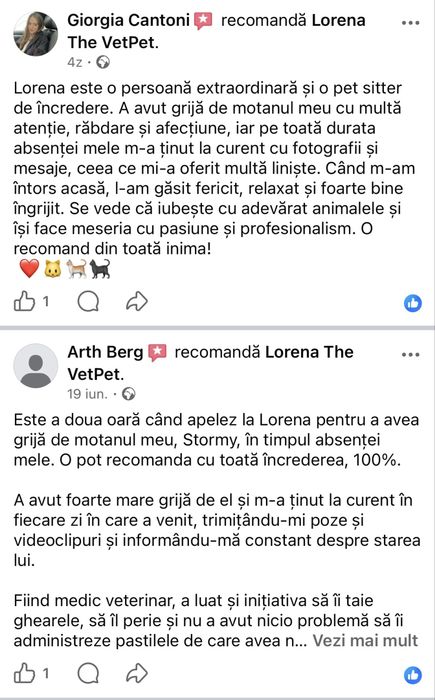 Petsittng, vizte la domiciliu pisici