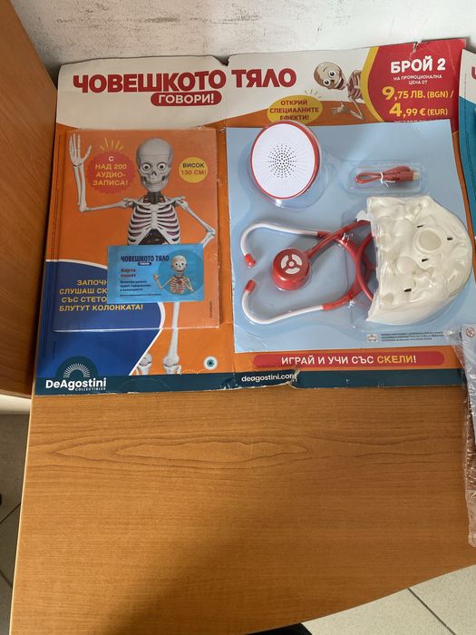 Човешкото тяло-поредца