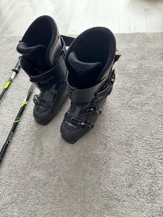 Schiuri SALOMON & clapari & bete