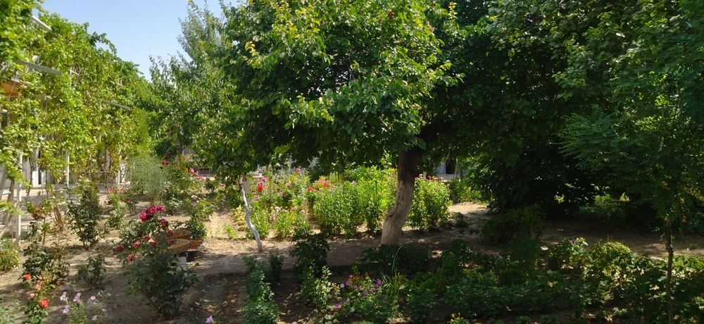 Геофизика! 20-соток Продаётся огромный дом