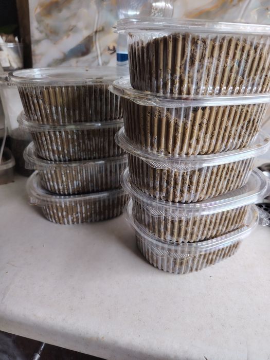 Продам паштет с говяжей печени