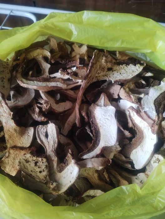 Продавам Гъби Манатарки