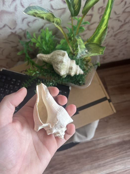 Декор для аквариума