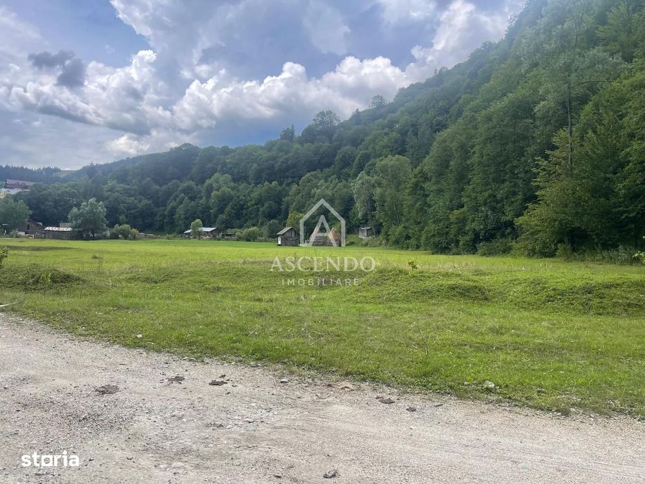 Teren Investiție Turistică Dâmbovicioara Baranga | 4.500 mp