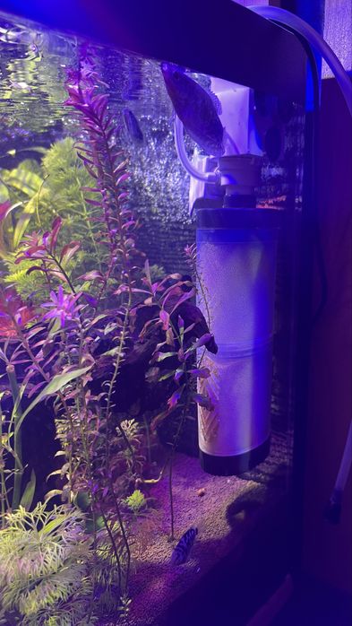 Продам аквариум